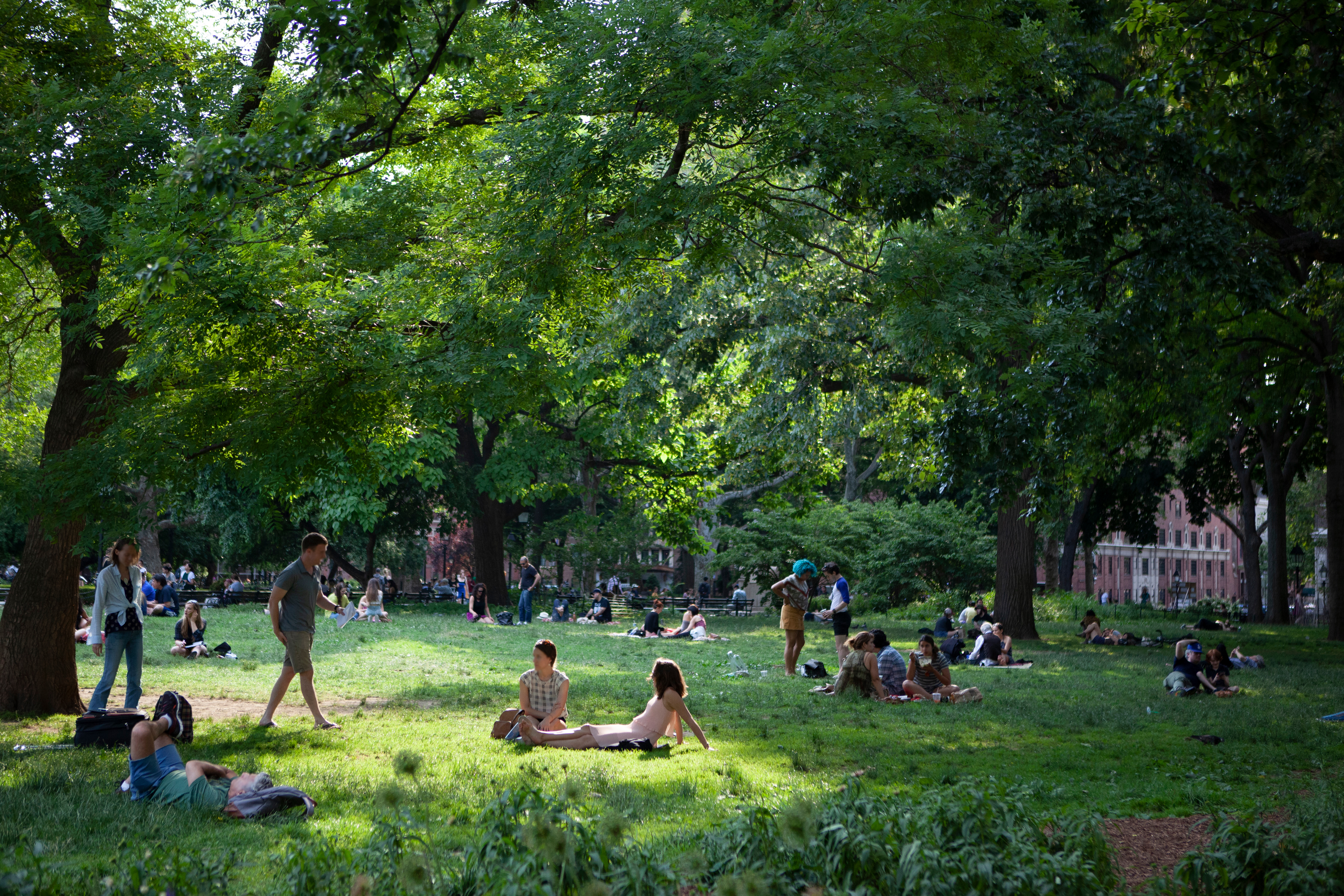 People sitting in a park