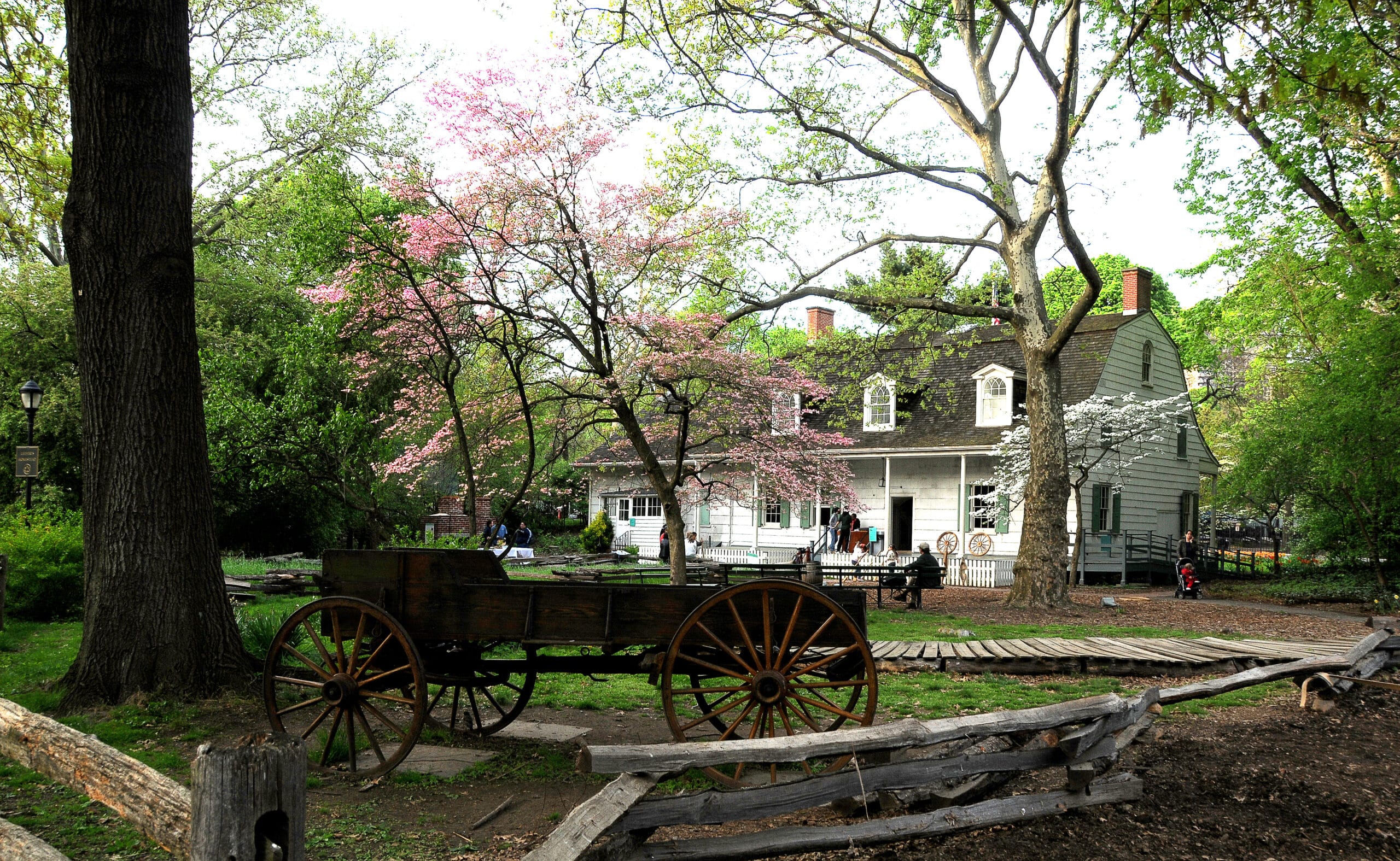 Lefferts Historic House with flowering trees and a wagon