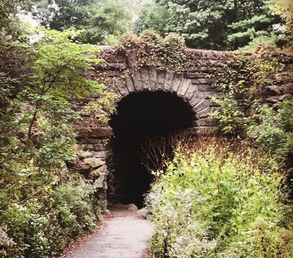 Secret Places of Central Park Walking Tour