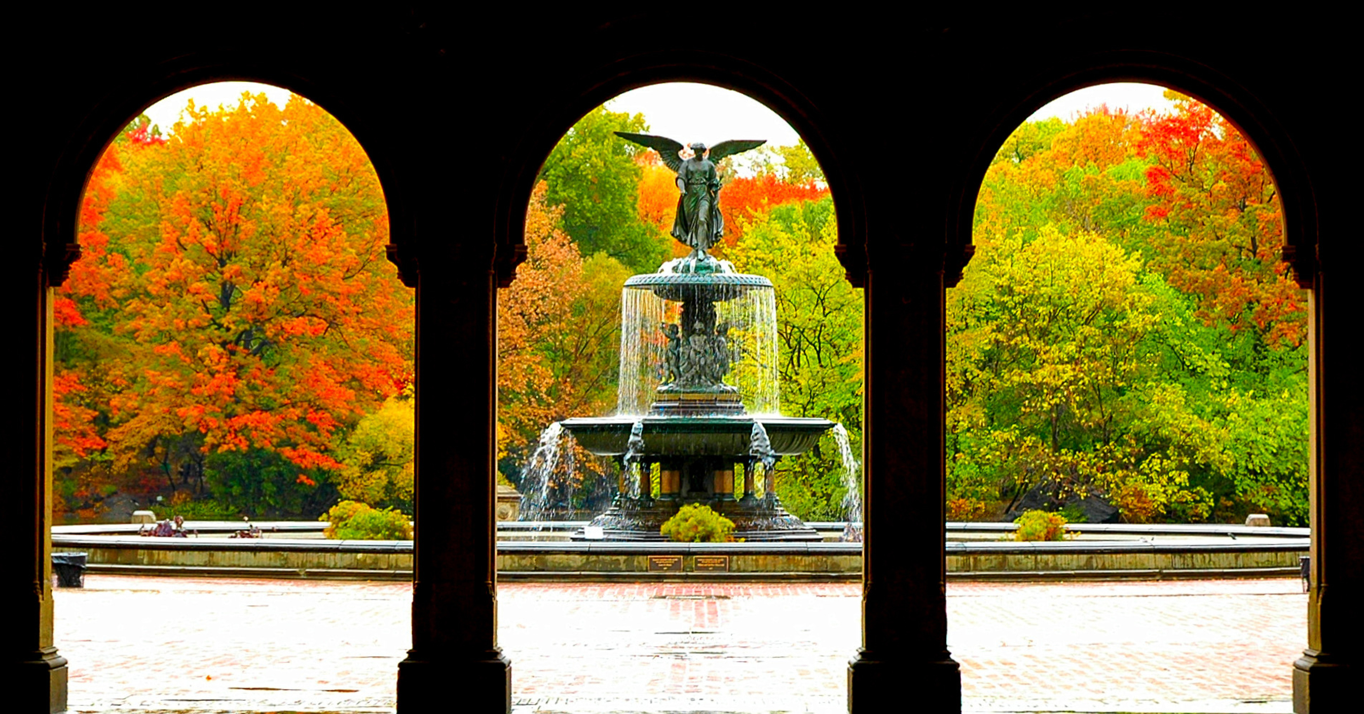 Central Park Experience Tour